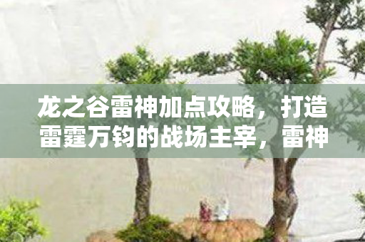 龙之谷雷神加点攻略，打造雷霆万钧的战场主宰，雷神加点攻略，打造雷霆万钧的战场主宰