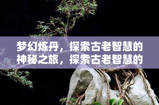 探索古老智慧的神秘之旅图片