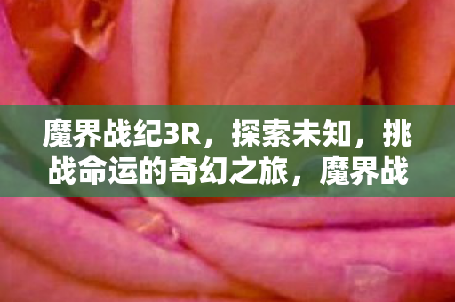 魔界战纪3R，探索未知，挑战命运的奇幻之旅，魔界战纪3R，探索未知挑战命运的奇幻冒险