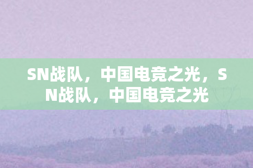 SN战队，中国电竞之光，SN战队，中国电竞之光