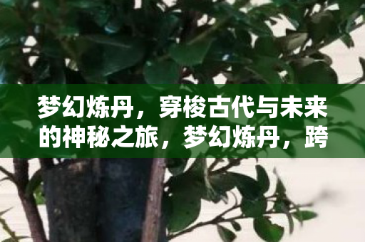 梦幻炼丹，穿梭古代与未来的神秘之旅，梦幻炼丹，跨越时空的神秘之旅