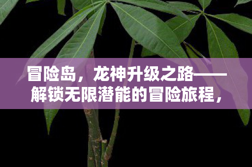 解锁无限潜能的冒险旅程图片