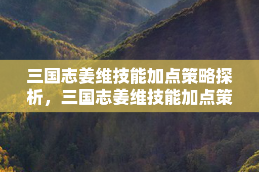 三国志姜维技能加点策略探析，三国志姜维技能加点策略全解析