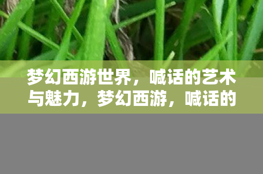 梦幻西游世界，喊话的艺术与魅力，梦幻西游，喊话的艺术与魅力