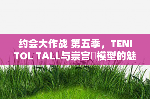 约会大作战 第五季，TENITOL TALL与崇宫澪模型的魅力展现