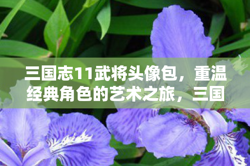 三国志11武将头像包，重温经典角色的艺术之旅，三国志11，重温经典角色的艺术之旅，解锁经典武将头像包