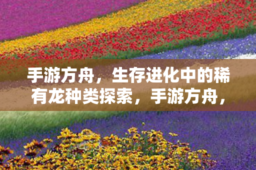 手游方舟，生存进化中的稀有龙种类探索，手游方舟，揭秘生存进化中的稀有龙种类