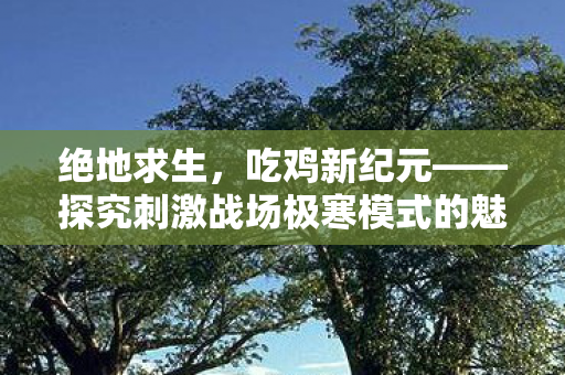 绝地求生，吃鸡新纪元——探究刺激战场极寒模式的魅力，绝地求生，直击吃鸡新纪元——揭秘刺激战场极寒模式的独特魅力