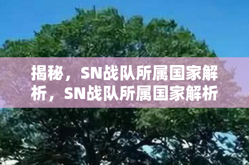 揭秘，SN战队所属国家解析，SN战队所属国家解析