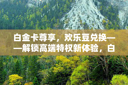 白金卡尊享，欢乐豆兑换——解锁高端特权新体验，白金卡尊享特权，解锁欢乐豆兑换新体验