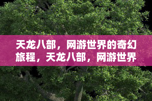 天龙八部，网游世界的奇幻旅程，天龙八部，网游世界的奇幻旅程
