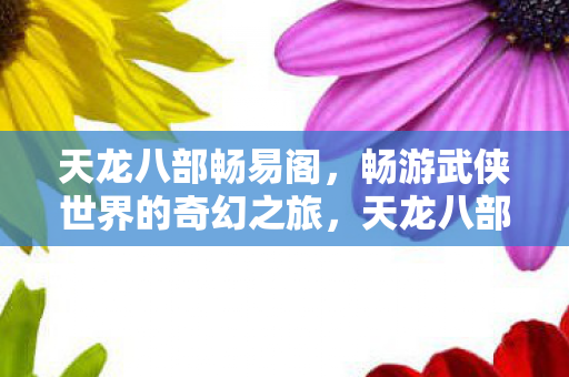 天龙八部畅易阁，畅游武侠世界的奇幻之旅，天龙八部畅易阁，畅游武侠世界，探索奇幻之旅
