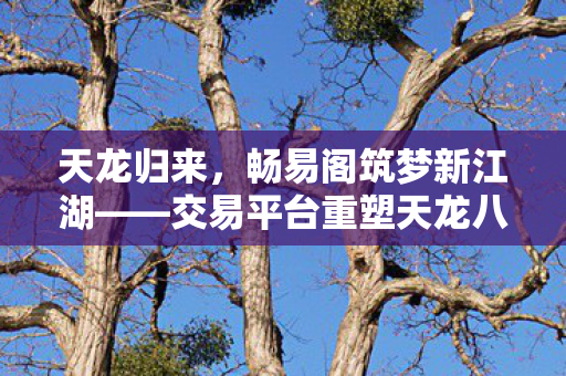 天龙归来，畅易阁筑梦新江湖——交易平台重塑天龙八部游戏体验，重归天龙，畅易阁筑梦新江湖，重塑经典游戏体验