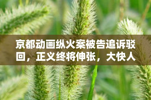 京都动画纵火案被告追诉驳回，正义终将伸张，大快人心！确定死刑判决