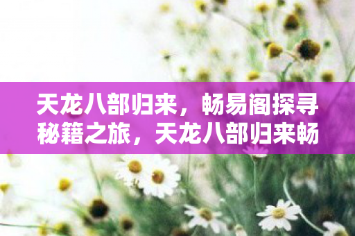 天龙八部归来，畅易阁探寻秘籍之旅，天龙八部归来畅易阁秘籍探索之旅