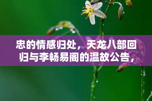 忠的情感归处，天龙八部回归与李畅易阁的温故公告，温故知新——天龙八部李畅易阁回归与李爽合作