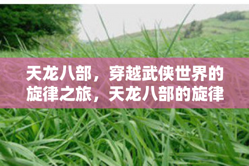 天龙八部，穿越武侠世界的旋律之旅，天龙八部的旋律之旅，穿越武侠世界的壮美画卷