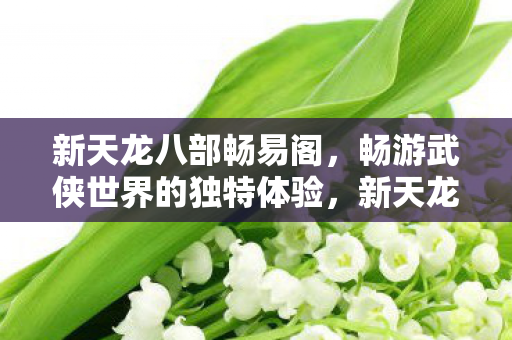 新天龙八部畅易阁，畅游武侠世界的独特体验，新天龙八部畅易阁，畅游武侠世界的独家体验