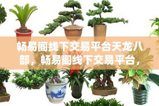 畅易阁线下交易平台天龙八部，畅易阁线下交易平台，重塑传统交易，开启全新商业格局，畅易阁，重塑交易模式 开启商业新篇章