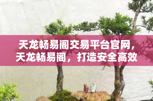 天龙畅易阁交易平台官网，天龙畅易阁，打造安全高效的交易市场新体验，天龙畅易阁，打造安全高效的交易市场新体验