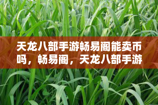 天龙八部手游畅易阁能卖币吗，畅易阁，天龙八部手游虚拟物品交易平台探讨作者与分析，天龙八部手游畅易阁，虚拟物品交易与币售卖可能性探讨