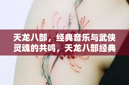 天龙八部，经典音乐与武侠灵魂的共鸣，天龙八部经典场景再现，武侠灵魂与音乐的共鸣