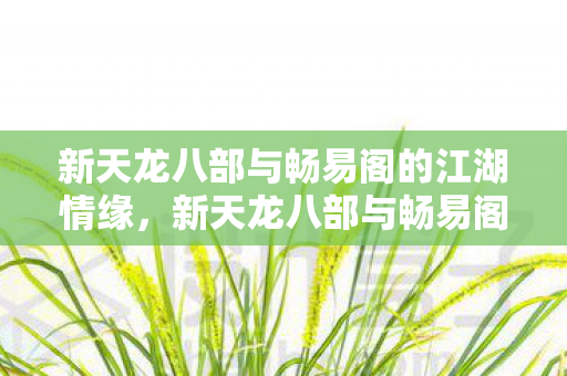 新天龙八部与畅易阁的江湖情缘，新天龙八部与畅易阁，共筑江湖情缘
