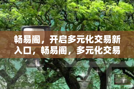 畅易阁，开启多元化交易新入口，畅易阁，多元化交易新入口开启