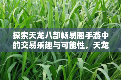 探索天龙八部畅易阁手游中的交易乐趣与可能性，天龙八部手游畅易阁，探索交易乐趣与无限可能