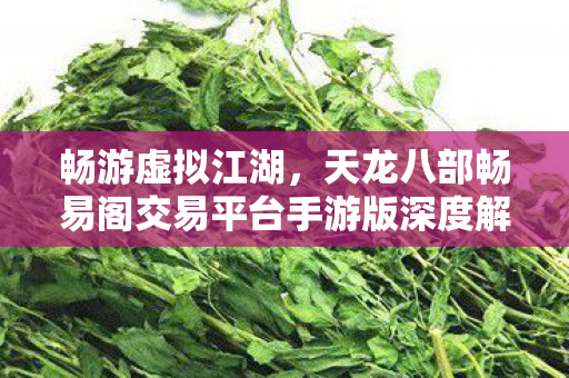 畅游虚拟江湖，天龙八部畅易阁交易平台手游版深度解析，天龙八部畅易阁，畅游虚拟江湖，手游版交易平台深度剖析