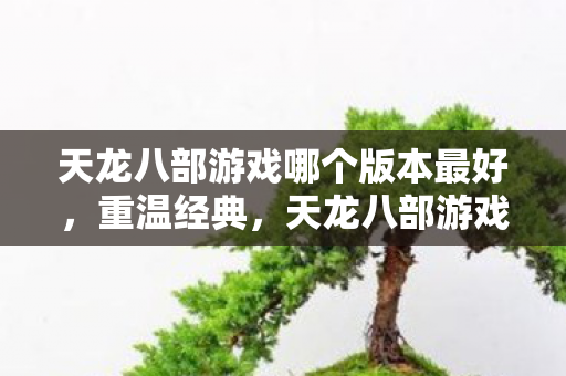 天龙八部游戏哪个版本最好，重温经典，天龙八部游戏的版本变迁与体验指南，重温经典之作，天龙八部游戏版本变迁与体验指南