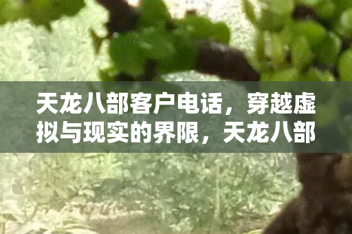 天龙八部客户电话，穿越虚拟与现实的界限，天龙八部游戏中的电话情缘，天龙八部客户电话，虚拟与现实的电话情缘