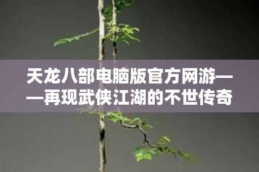 天龙八部电脑版官方网游——再现武侠江湖的不世传奇，再现武侠江湖的不世传奇，天龙八部电脑版官方网游登场！