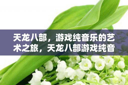天龙八部，游戏纯音乐的艺术之旅，天龙八部游戏纯音乐，艺术与音乐的奇幻之旅