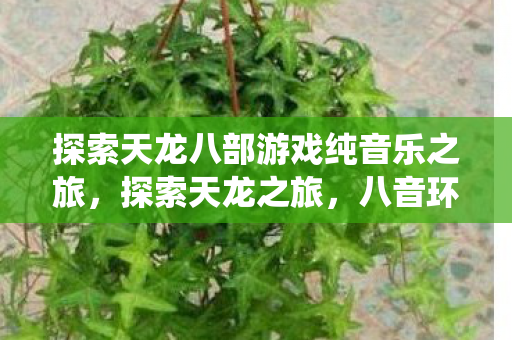 探索天龙八部游戏纯音乐之旅，探索天龙之旅，八音环绕的梦幻游戏