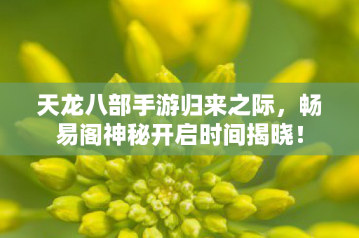 天龙八部手游归来之际，畅易阁神秘开启时间揭晓！