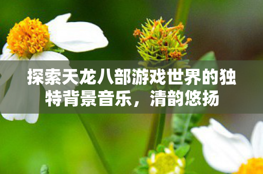 探索天龙八部游戏世界的独特背景音乐，清韵悠扬