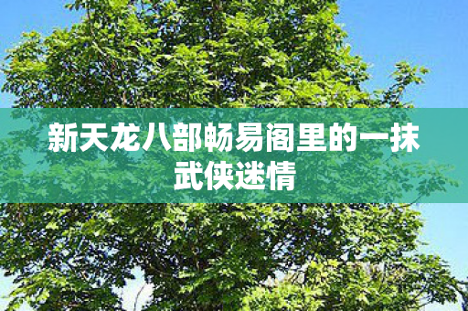 新天龙八部畅易阁里的一抹武侠迷情