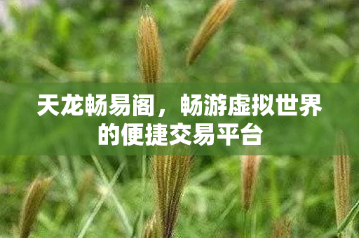 天龙畅易阁，畅游虚拟世界的便捷交易平台