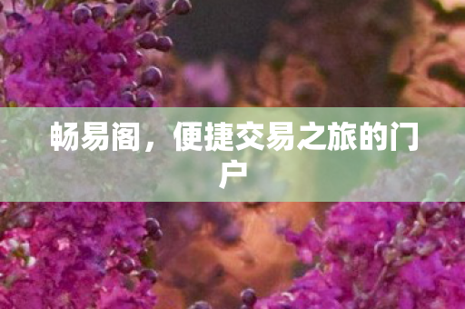 便捷交易之旅的门户图片