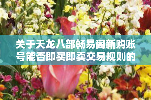 关于天龙八部畅易阁新购账号能否即买即卖交易规则的大探讨