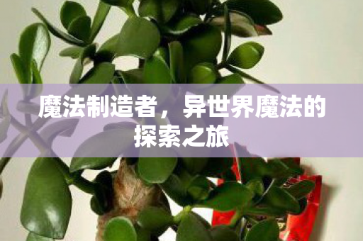 魔法制造者，异世界魔法的探索之旅