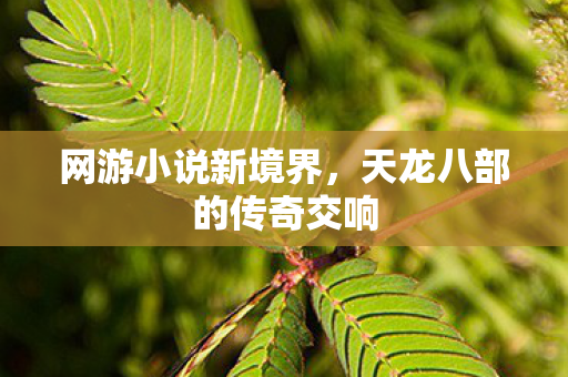 网游小说新境界，天龙八部的传奇交响