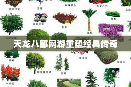 天龙八部网游重塑经典传奇