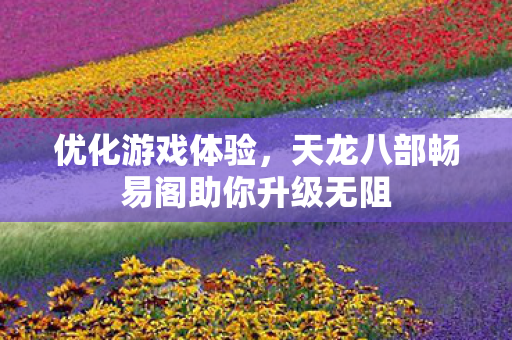 优化游戏体验，天龙八部畅易阁助你升级无阻