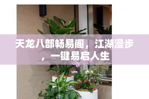 天龙八部畅易阁，江湖漫步，一键易启人生