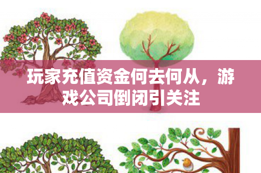 玩家充值资金何去何从，游戏公司倒闭引关注