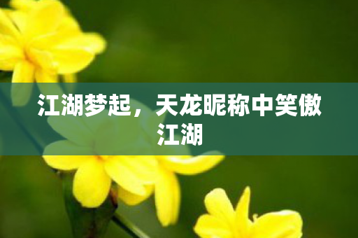 江湖梦起，天龙昵称中笑傲江湖