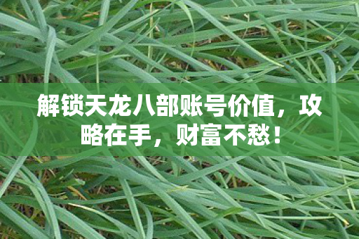 解锁天龙八部账号价值，攻略在手，财富不愁！