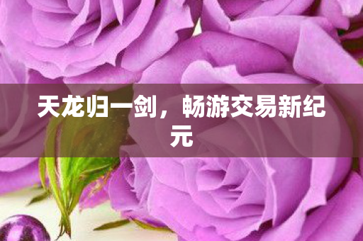 天龙归一剑，畅游交易新纪元